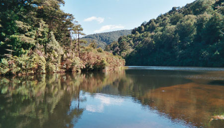 Marlborough Sounds